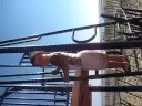 ultimo dia del verano en belmar new jersey