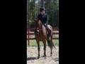 Spring Fling Horse Show 2006 Spring Fling Horse Show 2006
