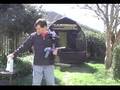 Reballs versus LazerBalls - Who won?