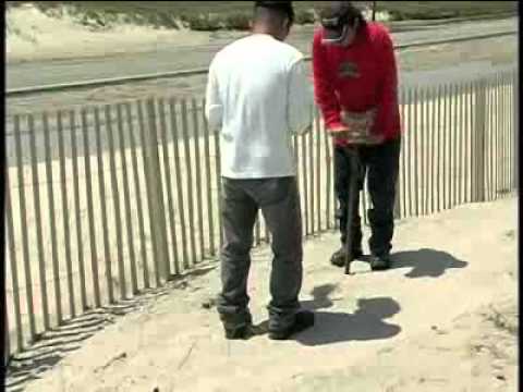 how to control eelgrass