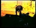 1968 Santa Margherita Belice - Il giorno che cambi� tutto