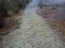 Rauch im Wald^^JFD Rauch im Wald^^JFD