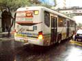 Trevo 1067