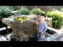Japanese Shrine Explained Japanese Shrine Explained