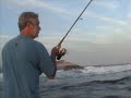 Anchova and Cercos de Bambu FIshing in Guaratiba