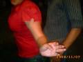 (++ El Bicho ++).wmv