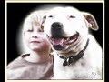 An APBT\