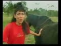 funny Horse Surprise