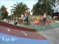 wild in the parks