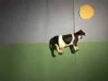 Cowtown: the Video by Jumpsuit: the Band