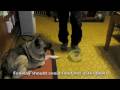 videos de fenway