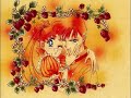 The Senshi and the Shitennou