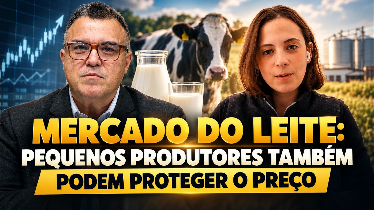 Mercado do leite: pequenos produtores podem proteger o preço.