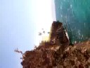 Gnarly gnar gnar gainer