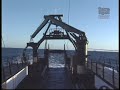 Steller Sea Lions In Jeopardy Steller Sea Lions In Jeopardy