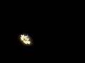 The Samburg Fireworks!