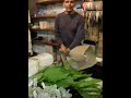Paul - A New Leaf
