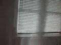 Dirty Rental House