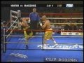 The American Yemeni Boxer Brian Mihtar