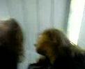 Cours de Musique La Bressola