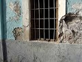 casas muertas 5/6