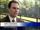 Rewards To Be Offered For Dogfight Info Rewards To Be Offered For Dogfight Info