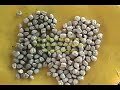 Bioagro de M�xico