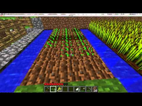 how to grow food in minecraft