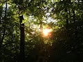 My Pictures - Siegerland/Westerwald Part II