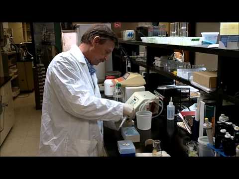 how to perform gel electrophoresis