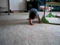 videos de Catherine crawling