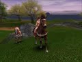 Unbekanntes Pferd
