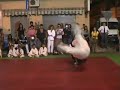 aikido hokkaido pescara - randori in embukai