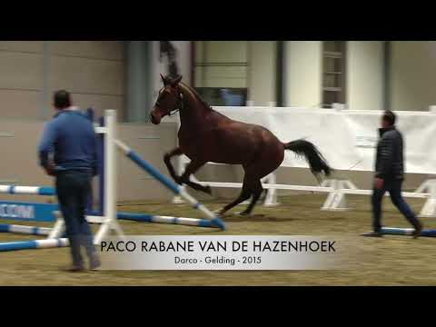 Paco Rabane vd Hazenhoek Presentation