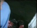 Jihadi Ruthless killers kill innocent Muslims when they were breaking their fast.
