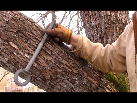 how to build a treehouse