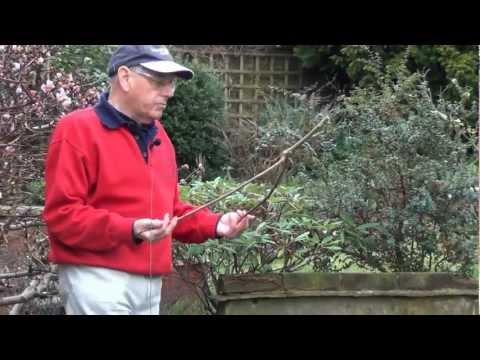 how to locate underground water pipes