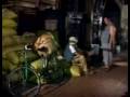 Lam Hung - Vo Tinh MV