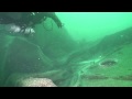 Ghost Nets
