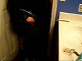videos de Robin and Matt gettin' ready for halloween