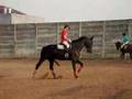 Equstrian Juan