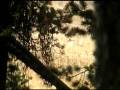 videos de RMSEL observes Wolf in Yellowstone- part 1
