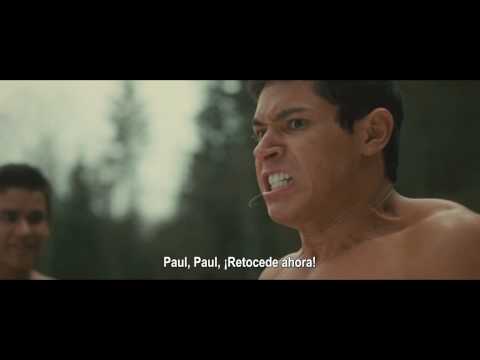 Imagen de previsualización de YouTube