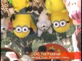 TET Festival 2016