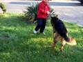 Arko playing 2