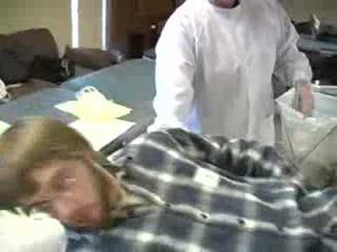American Red Cross Video - Be A Hero