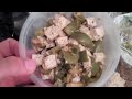 Jon Fitch food blog