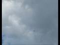 Hawk in Flight_0001.wmv