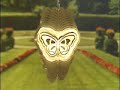 Video of GBFWS