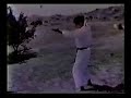 Passai (matsumura seito)